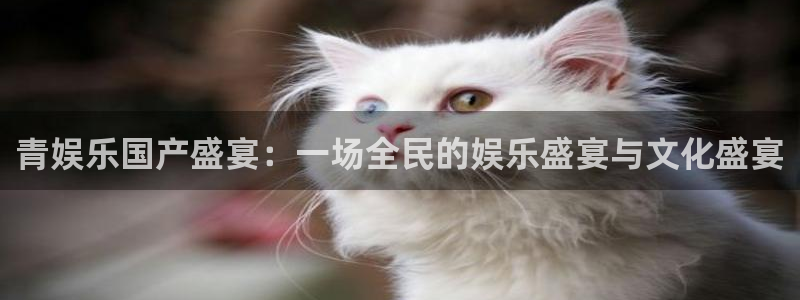 欧陆平台2登录入口：青娱乐国产盛宴：一场全民的娱乐盛宴与文化盛宴