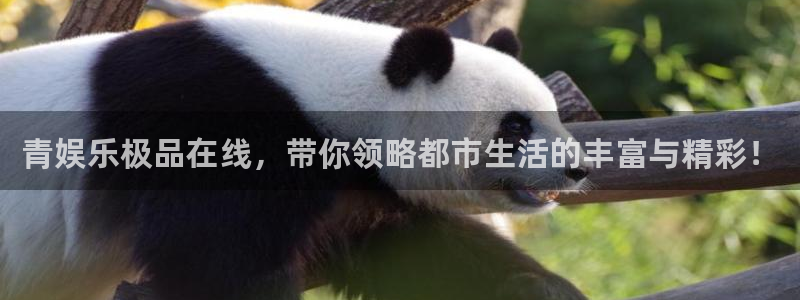 欧陆平台账号注册：青娱乐极品在线，带你领略都市生活的丰富与精彩！