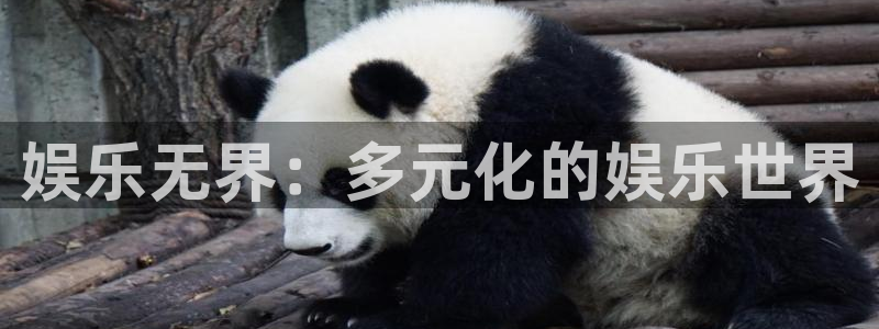 欧陆平台官网入口：娱乐无界：多元化的娱乐世界