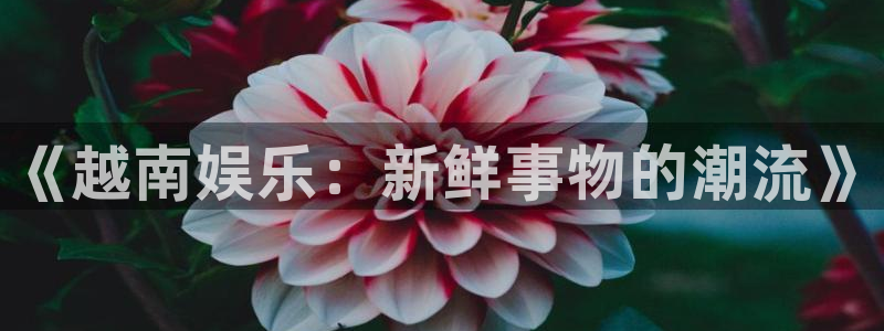 欧陆平台5招商：《越南娱乐：新鲜事物的潮流》
