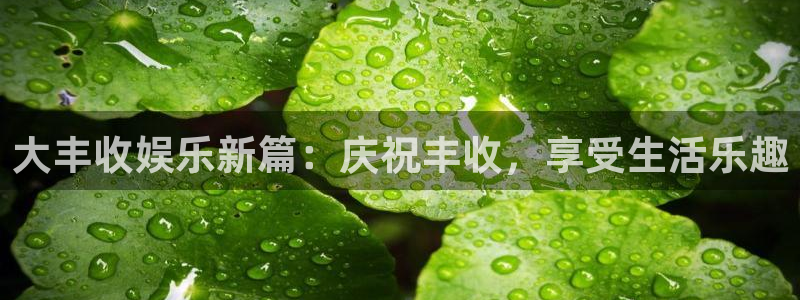 欧陆平台注册登录入口：大丰收娱乐新篇：庆祝丰收，享受生活乐趣