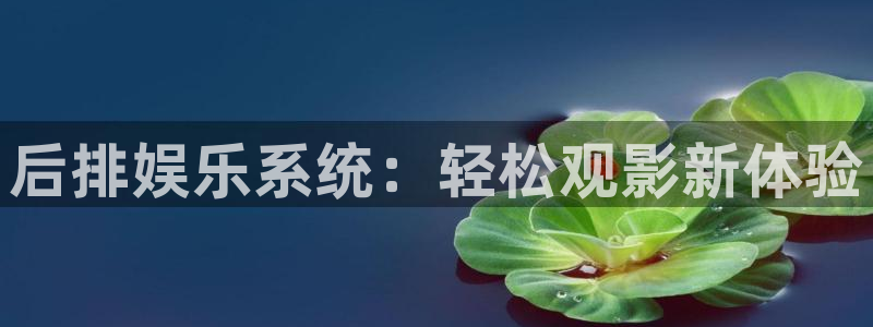 南宫欧陆平台官网版：后排娱乐系统：轻松观影新体验
