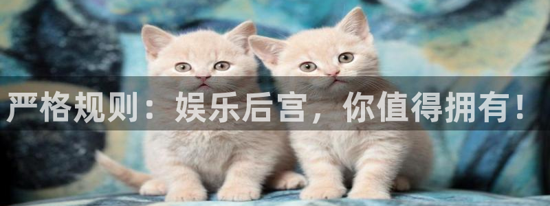 欧陆平台pg：严格规则：娱乐后宫，你值得拥有！