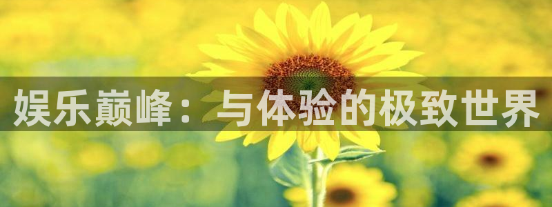 欧陆平台能源：娱乐巅峰：与体验的极致世界