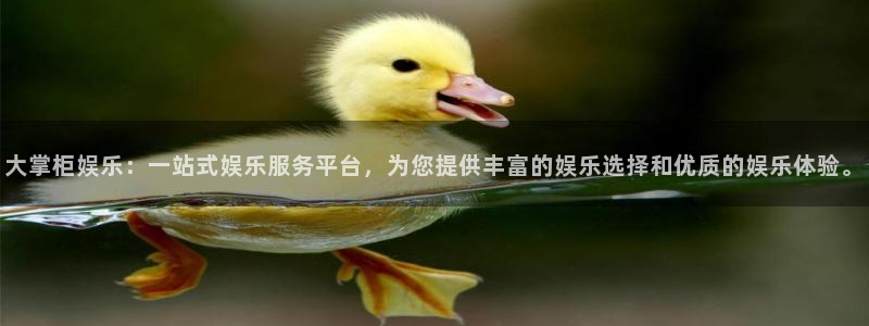 欧陆平台2登录：大掌柜娱乐：一站式娱乐服务平台，为您提供丰富的娱乐选择和优质的娱