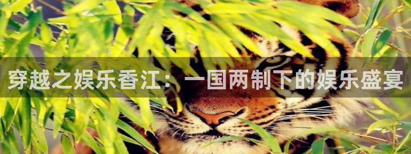 欧陆平台ccm赏金女王：穿越之娱乐香江：一国两制下的娱乐盛宴