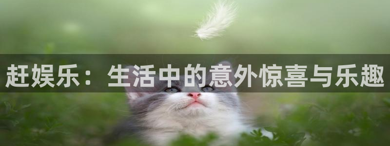 欧陆平台：赶娱乐：生活中的意外惊喜与乐趣