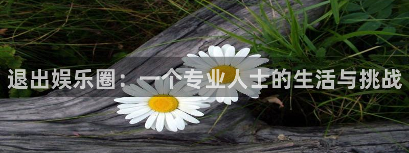 欧陆平台app哪个模式容易赢：退出娱乐圈：一个专业人士的生活与挑战
