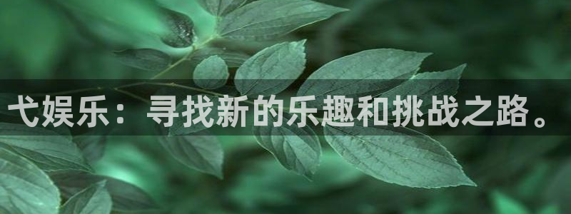 欧陆平台kgame：弋娱乐：寻找新的乐趣和挑战之路。