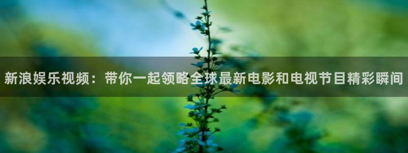 欧陆平台3登录：新浪娱乐视频：带你一起领略全球最新电影和电视节目精彩瞬间