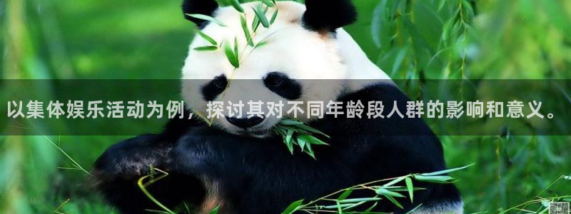 欧陆平台平台开户链接：以集体娱乐活动为例，探讨其对不同年龄段人群的影响和意义。