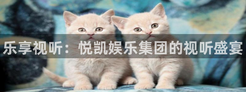欧陆平台代理：乐享视听：悦凯娱乐集团的视听盛宴