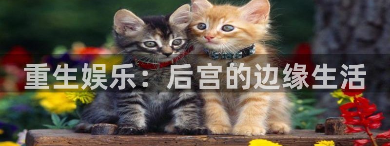 欧陆平台平台登录入口：重生娱乐：后宫的边缘生活