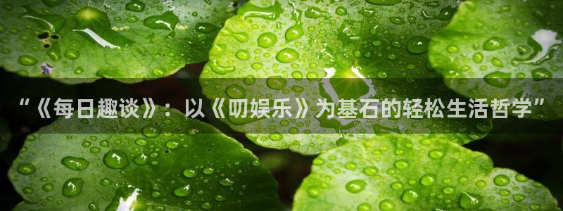 欧陆平台体育用品：“《每日趣谈》：以《叨娱乐》为基石的轻松生活哲学”