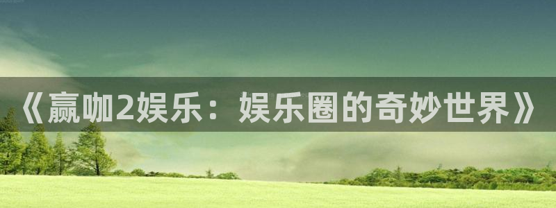 欧陆平台是什么：《赢咖2娱乐：娱乐圈的奇妙世界》